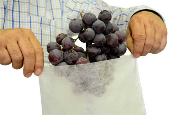 Fruit Protection Large Fabric 0.4x0.25m